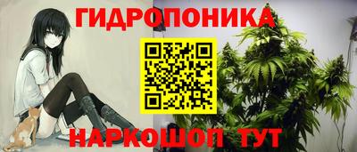 прущие грибы Ливны